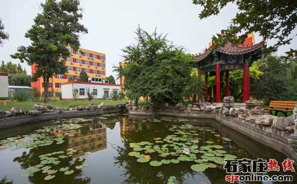 石家莊新希望職業(yè)中專學(xué)校春季招生簡(jiǎn)章