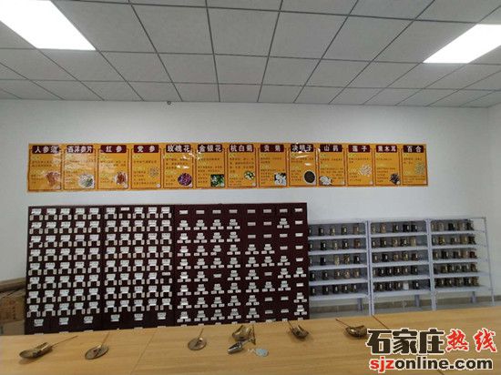 石家莊新希望職業(yè)中專學校