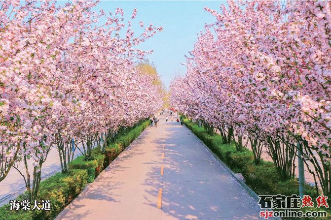 燕京理工學(xué)院2023年單招招生簡章