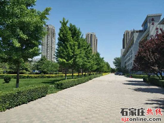 石家莊信息工程職業(yè)學(xué)院